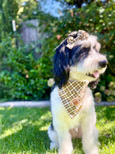 Load image into Gallery viewer, Game Day | Bandana