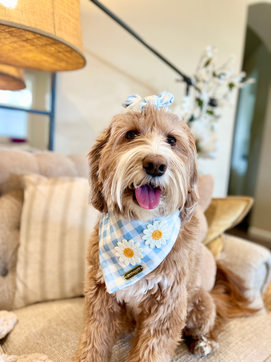 Daisy | bandana