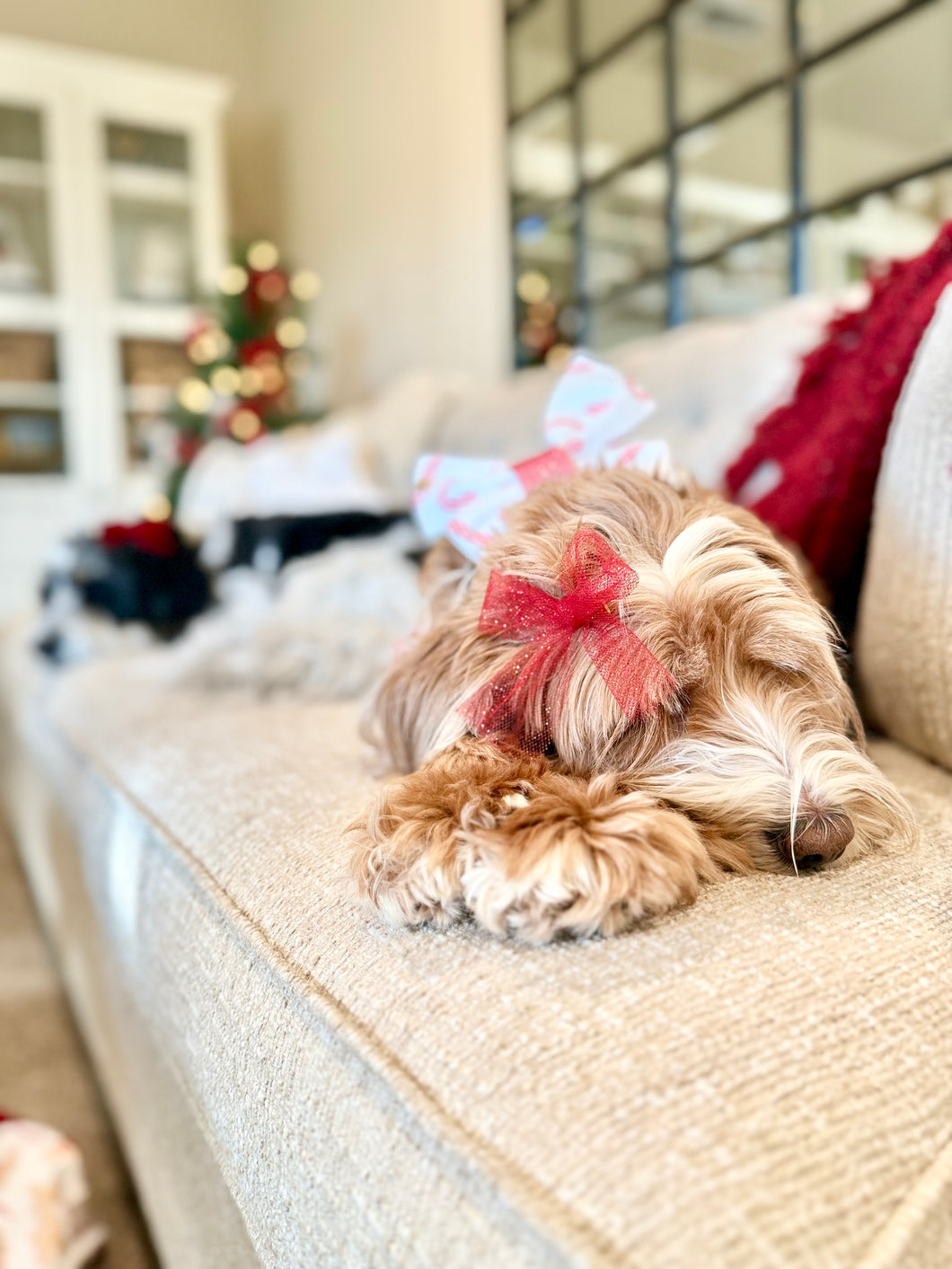 Candy cane lane | Hair bow