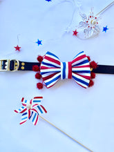 Load image into Gallery viewer, Firework 🧨 | collar bow tie
