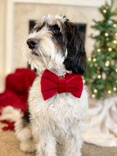 Load image into Gallery viewer, Howliday Joy | collar bow tie
