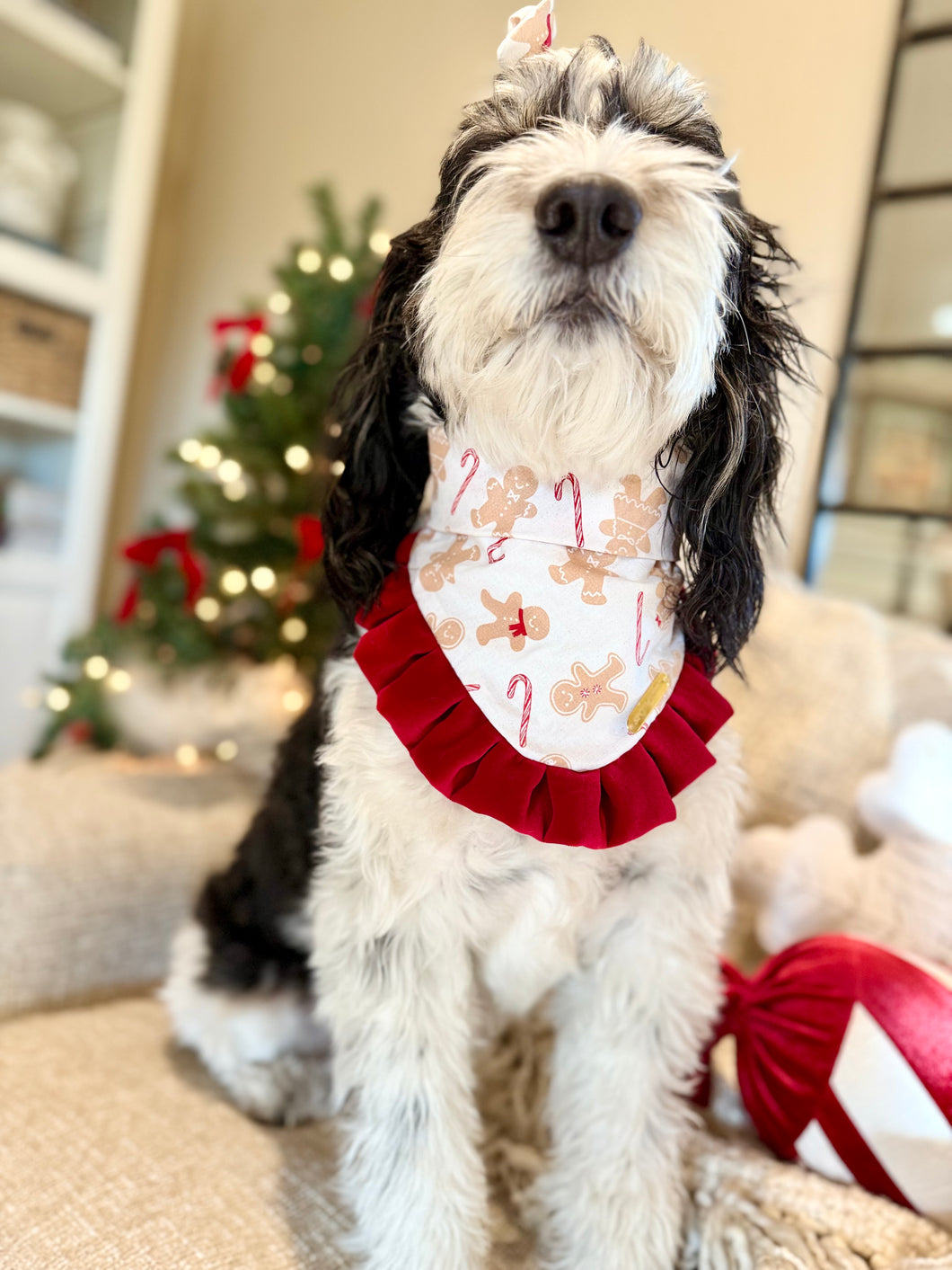 Home for christmas | Bandana