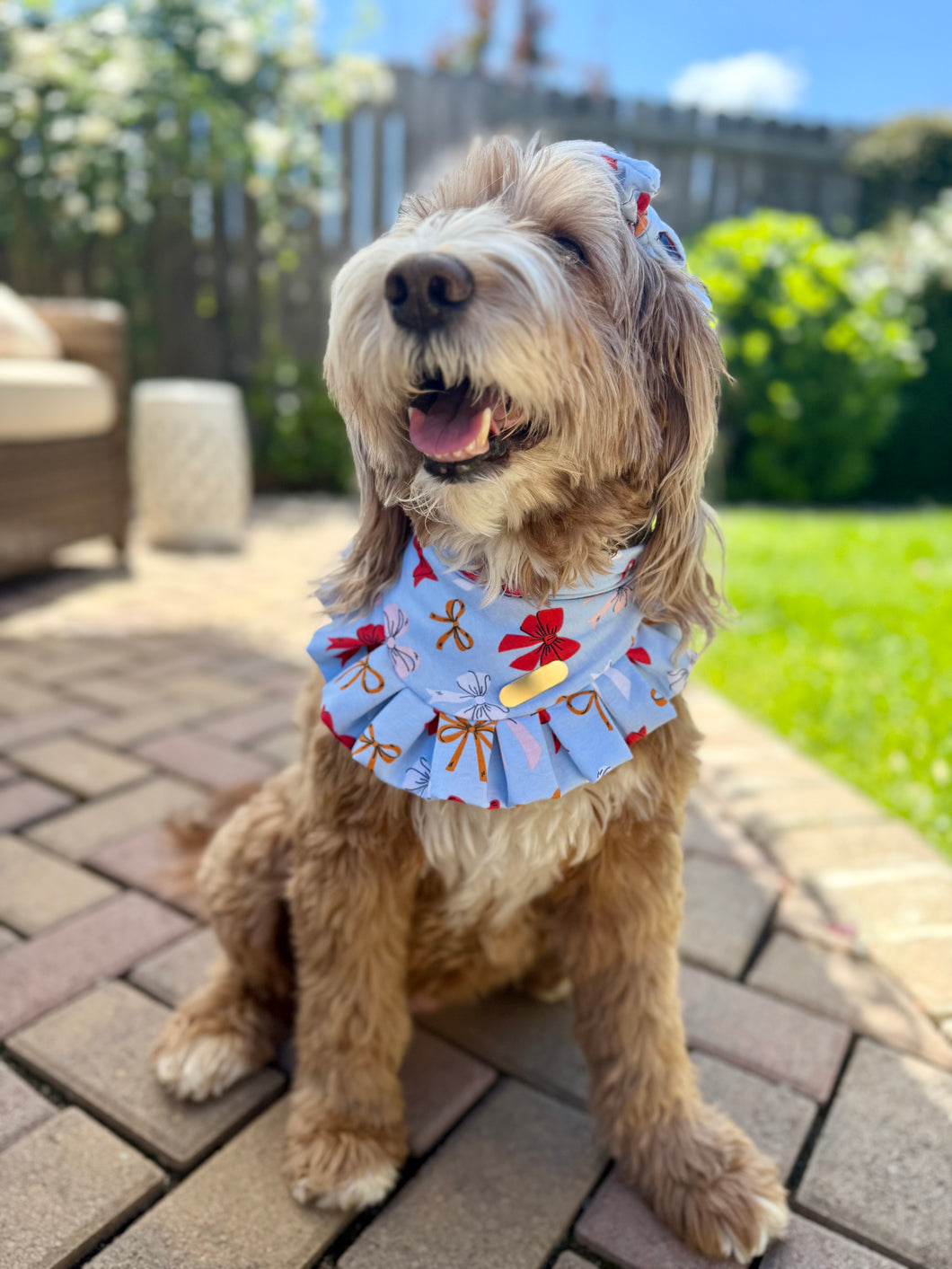 Shayla | Bandana