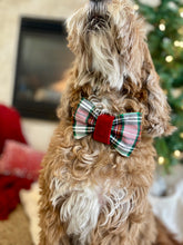 Load image into Gallery viewer, Noel | collar bow tie
