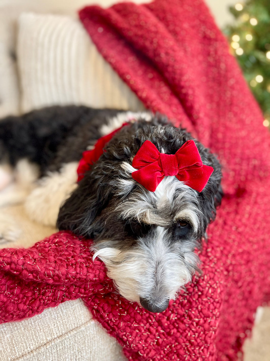 Howliday Joy | hair bow