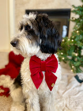 Load image into Gallery viewer, Howliday joy | collar Sailor bow
