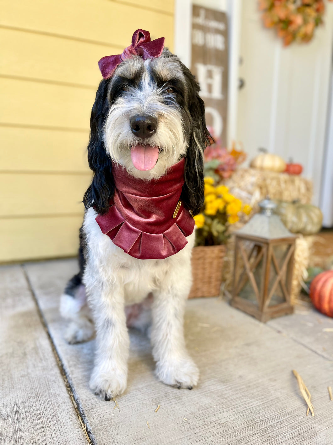 Paris | Bandana