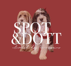 Spot & Dott 