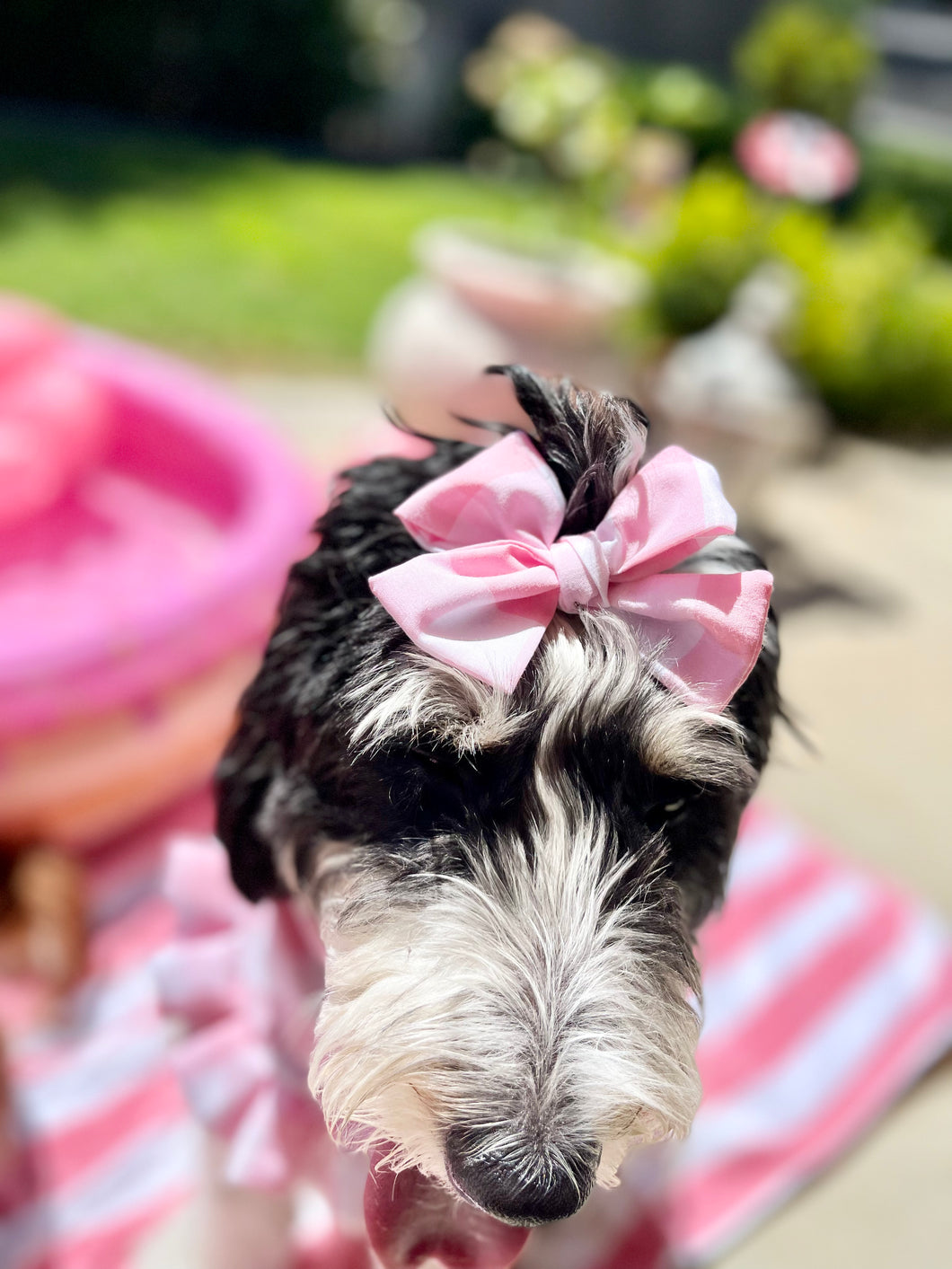 Barkbie girl | Hair Bow