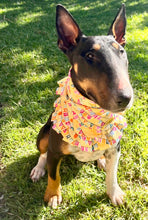 Load image into Gallery viewer, Barkday Pawty | Bandana
