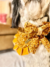 Load image into Gallery viewer, Howliday Pawtay in gold || Bandana
