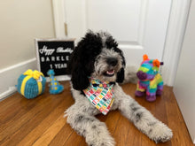 Load image into Gallery viewer, Paw-Tay like “It’s my Birthday!” || Bandana
