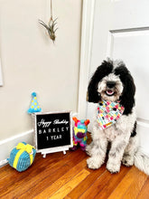 Load image into Gallery viewer, Paw-Tay like “It’s my Birthday!” || Bandana
