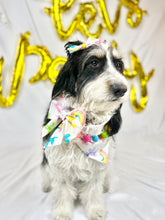 Load image into Gallery viewer, Pawty Animal | Collar Sailor bow

