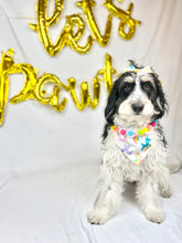 Load image into Gallery viewer, Paw-Tay Animal || Reversible - snap on dog bandana - birthday
