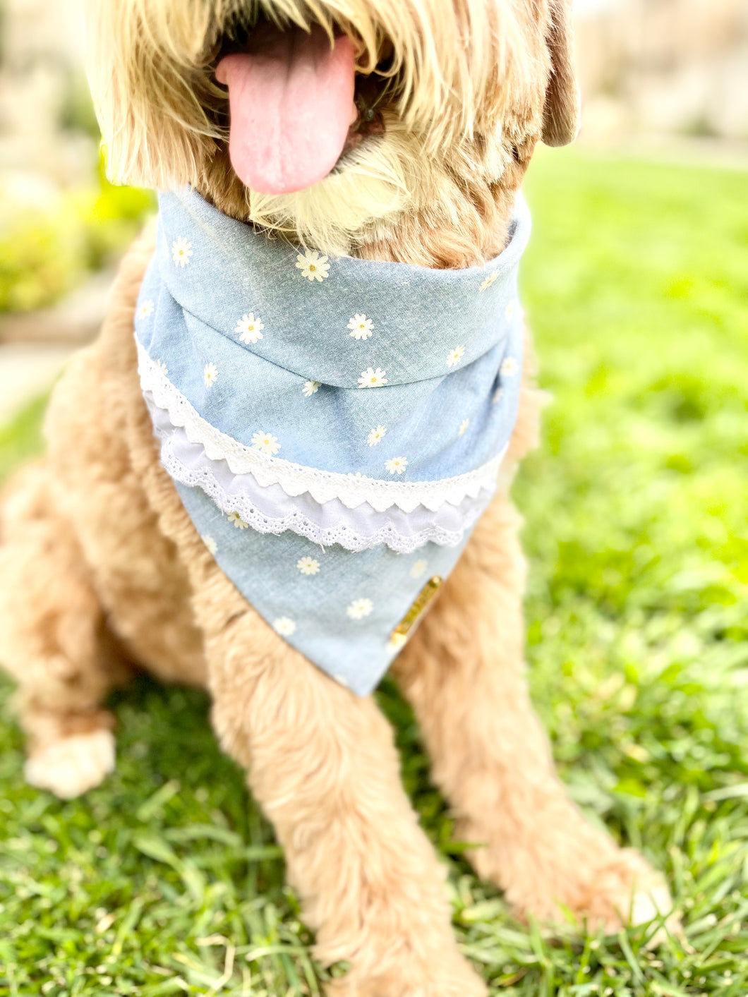 Picnic in the park || Bandana