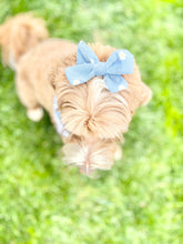 Load image into Gallery viewer, Picnic in the park || Hair Bow
