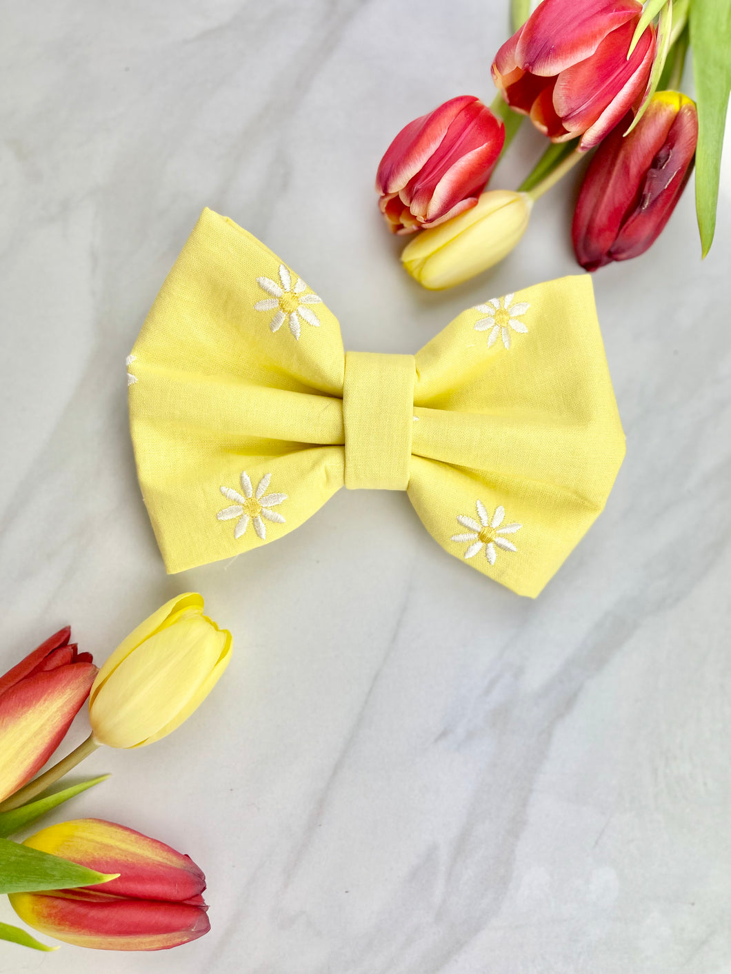 Daisy day | collar bow tie